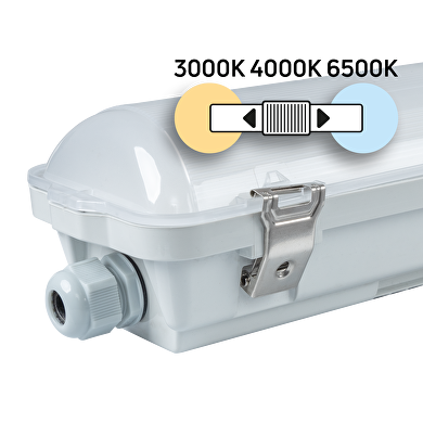 LED Industrieleuchte CCT PC, 0.60m, 18W max, 220V-240V AC, IP66